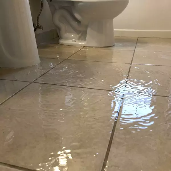 Expert Flooded Bathroom Restoration in Coral Springs, FL 