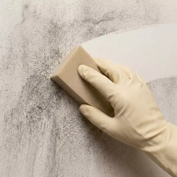 Smoke Cleaning in Coral Springs, FL 