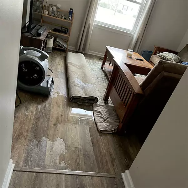 Water Restoration in Coral Springs, FL