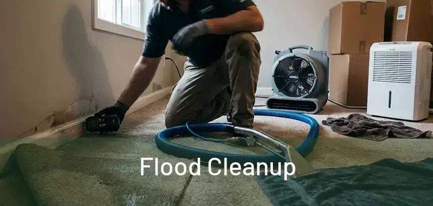 Flood Cleanup 