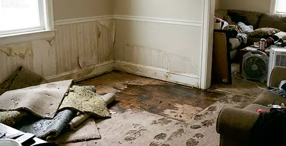 Why Choose Coral Springs Water Damage Pro For Water Damage Restoration Services in Coral Springs, FL?