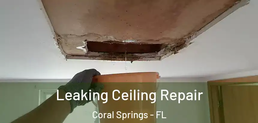  Leaking Ceiling Repair Coral Springs - FL