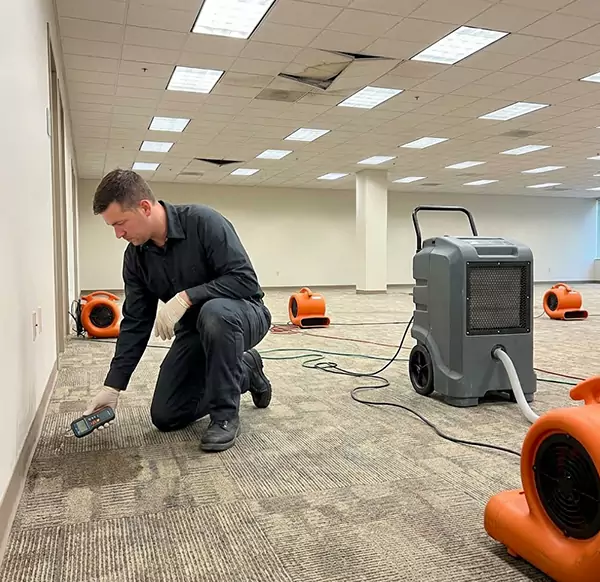 Why Businesses Choose Coral Springs Water Damage Pros for Commercial Water Damage in Coral Springs, FL?