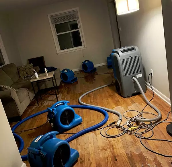 Why Homeowners & Businesses Choose Coral Springs Water Damage Pros for Emergency Water Restoration in Coral Springs, FL?