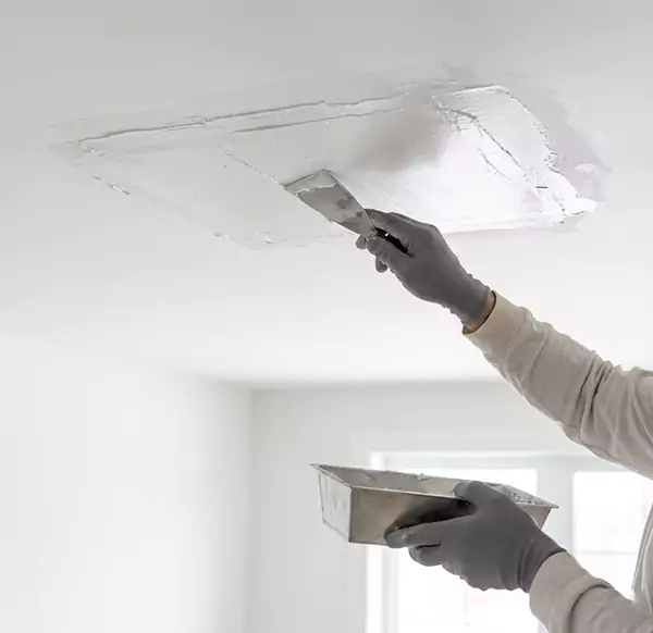 Why Homeowners and Businesses Choose Coral Springs Water Damage Pros for Leaking Ceiling Repair in Coral Springs, FL?