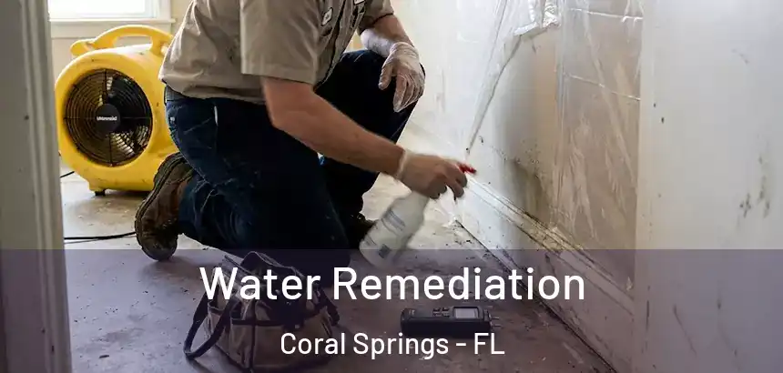  Water Remediation Coral Springs - FL